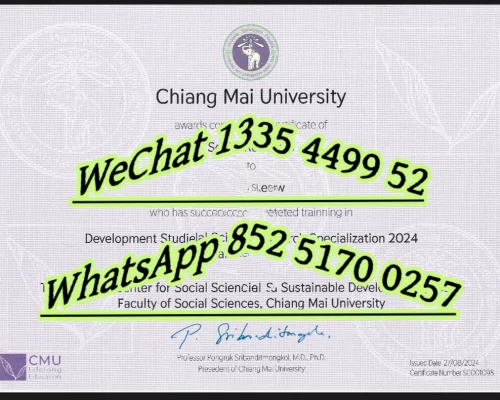 Chiang Mai University Diploma
