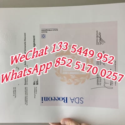 Is a Bocconi University Diploma Worth It? A 2026 Guide for Chinese Students