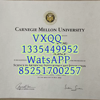 Diploma from Carnegie Mellon University in the United States
