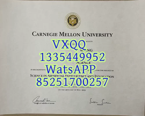 Diploma from Carnegie Mellon University in the United States