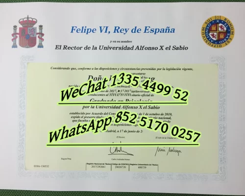 Diploma from Complutense University of Madrid