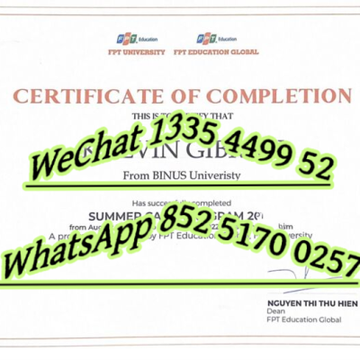 University of Danang Guide: Diploma Recognition, Top Majors & Real Costs (2026)