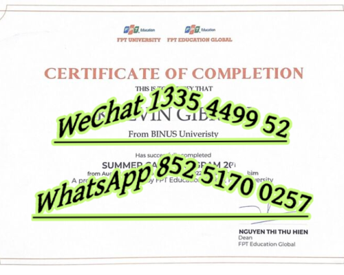 Diploma from Danang University, Vietnam
