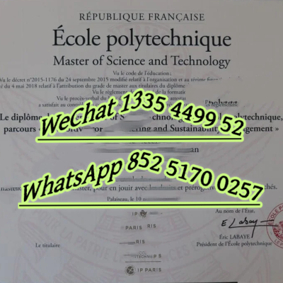 Polytechnique Diploma vs Russian University: 2024 Value & Jobs