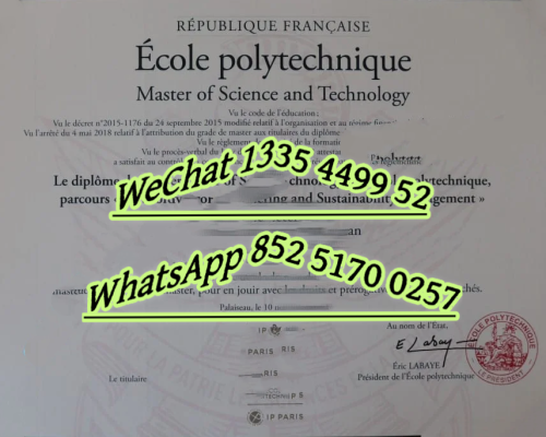 Diploma from É cole Polytechnique in Paris