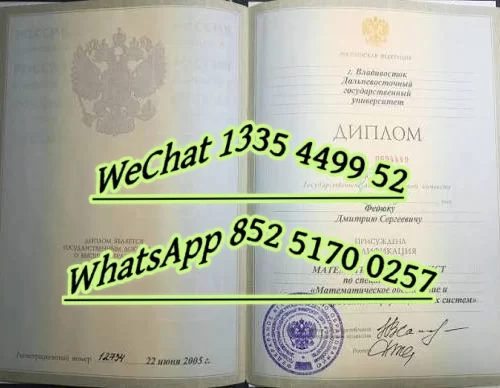 Diploma from Far Eastern Federal University