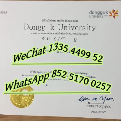 Handong University Diploma | Official Degree & Verification 2026