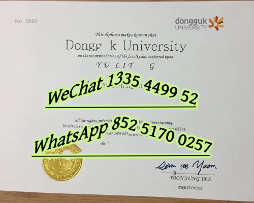 Diploma from Handong University