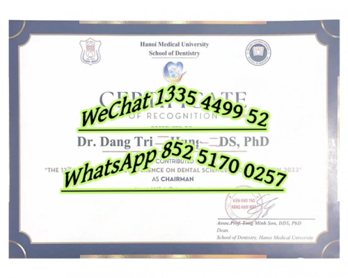 Diploma from Hanoi Medical University
