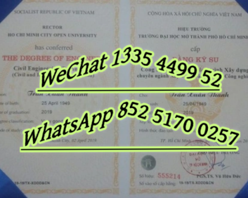 Diploma from Hanoi University of Science and Technology