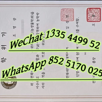 Jeonbuk National University Diploma: Value & Career 2026