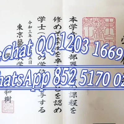 Kyoto University of the Arts Diploma: Value, Programs, and Career Impact