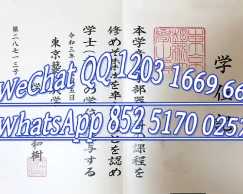 Diploma from Kyoto University of Art and Design