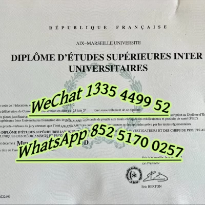 Diploma from Marseille University: Application details for 2026