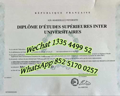 Diploma from Marseille University