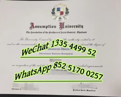 Diploma from National Institute of Development Management