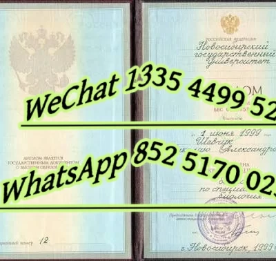 Novosibirsk State University Diploma: Real Value & Recognition (2025)