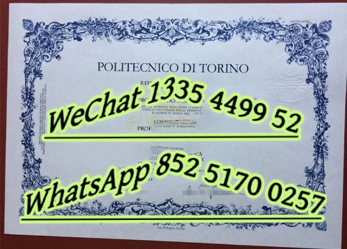 Diploma from Politecnico di Torino