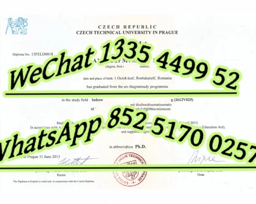 Diploma from Prague Polytechnic University