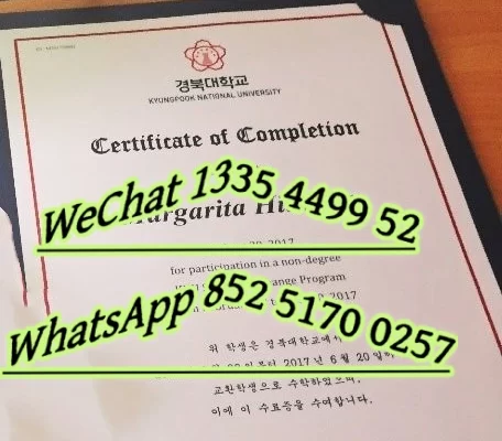 Diploma from Qiuxi University of Arts, South Korea