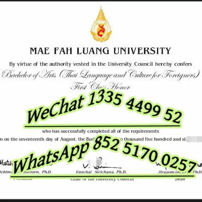 Is a Degree from Mae Fah Luang University Worth the Investment for Your Future? A 2026 International Student Reality Check