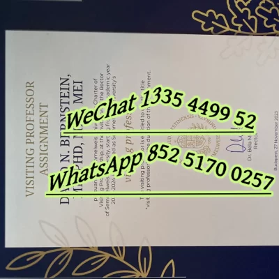 Semmelweis University Degree Authentication Guide: Diploma vs. Degree, University Profile & China Return Process