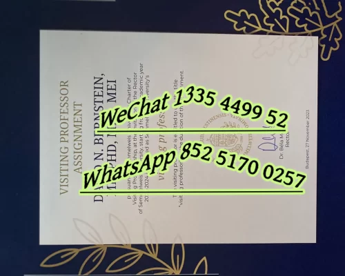 Diploma from Semmelweish University