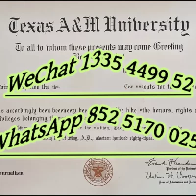 2026 Texas A&M University Diploma Guide: Admission, Visa & Cost