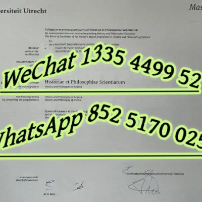 Is a Degree from Utrecht University Worth It for International Students? The 2026 Reality Check