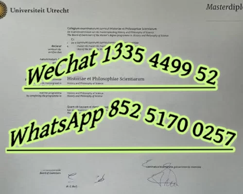Diploma from Utrecht University