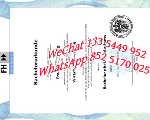 Diploma from Vienna University of Applied Economics and Technology
