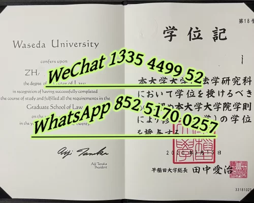 Diploma from Waseda University in Japan