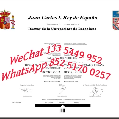 Is the Autonomous University of Barcelona (UAB) Right for Chinese Students? A Complete 2026 Application Guide