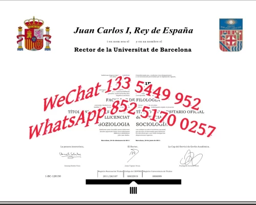 Diploma from the Autonomous University of Barcelona