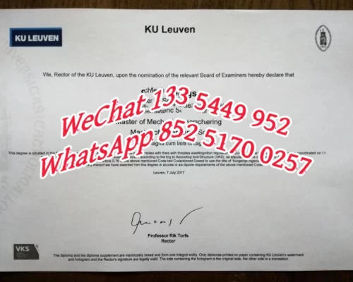 Diploma from the Dutch speaking University of Leuven
