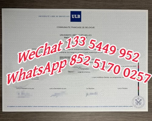 Diploma from the Free University of Brussels