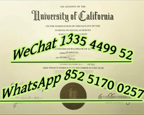 Diploma from the University of California, Irvine