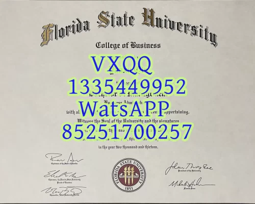 Florida University Diploma