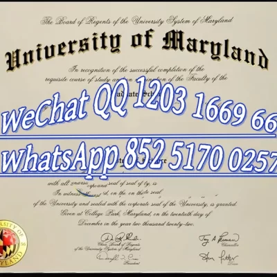 UMD Diploma Requirements: Credits, GPA & Graduation Guide