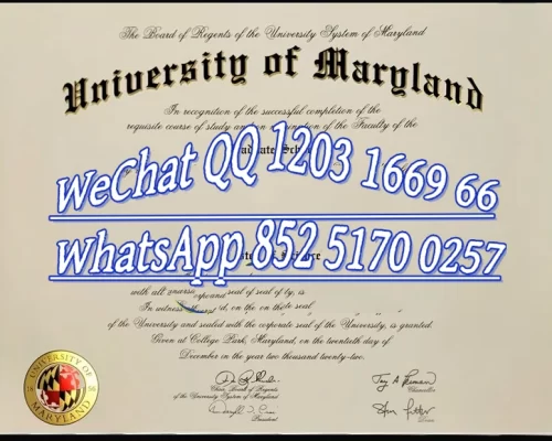 Diploma from the University of Maryland, USA