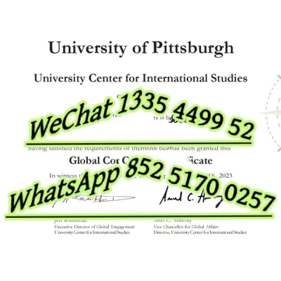 University of Pittsburgh Diploma: Value, Programs & Careers