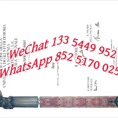 Is a Tor Vergata Diploma Worth It? A Complete 2026 Application Guide for Chinese Students