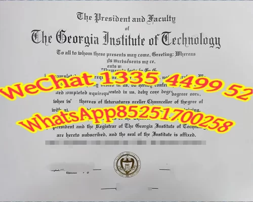 Georgia Institute of Technology Diploma Rapid Application