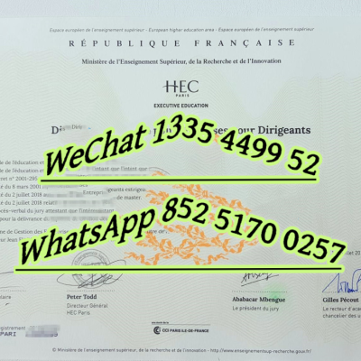 HEC Paris Diploma Value vs French University Degree: 2024 Guide