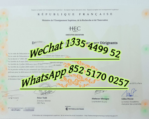HEC Diploma from Paris Business School