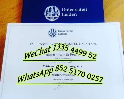 Leiden University Diploma