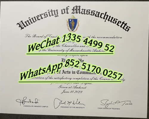 MIT Diploma and Degree Certificate
