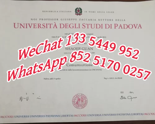 意大利帕多瓦大学Università degli Studi di Padova毕业证成绩单