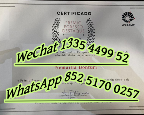 Diploma from Campinas State University