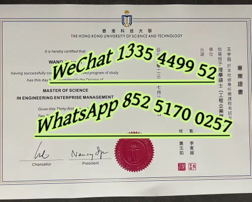 Diploma from Hong Kong University of Science and Technology